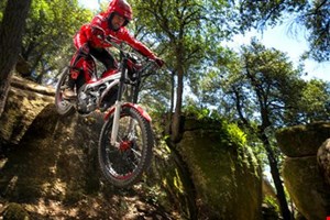 2015 Honda Montesa Cota 4RT260 bereits eingetroffen!
